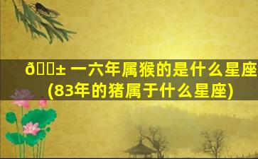 🐱 一六年属猴的是什么星座(83年的猪属于什么星座)